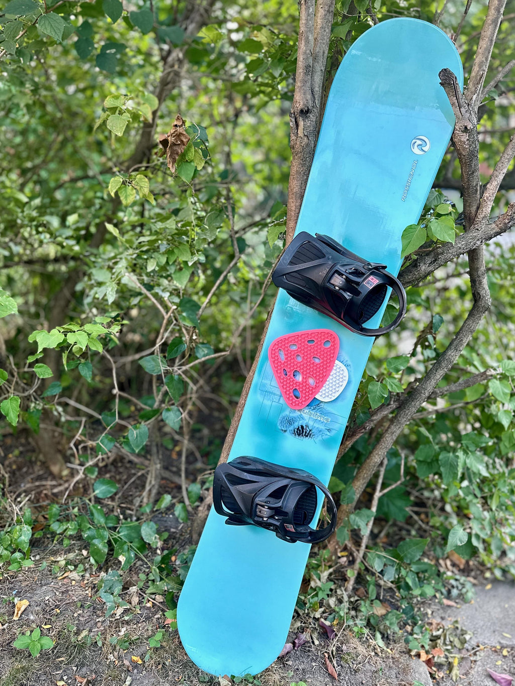 Mushroom Snowboard Stomp Pad