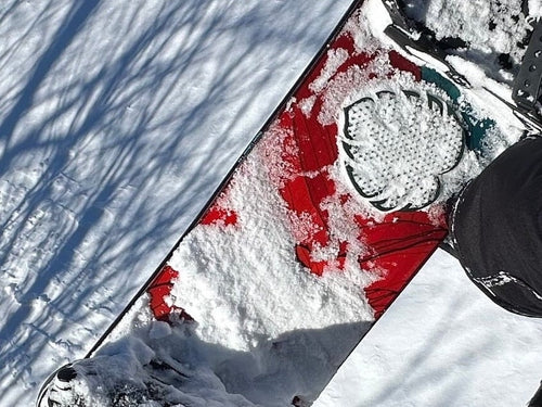 Monstera Leaf Snowboard Stomp Pad