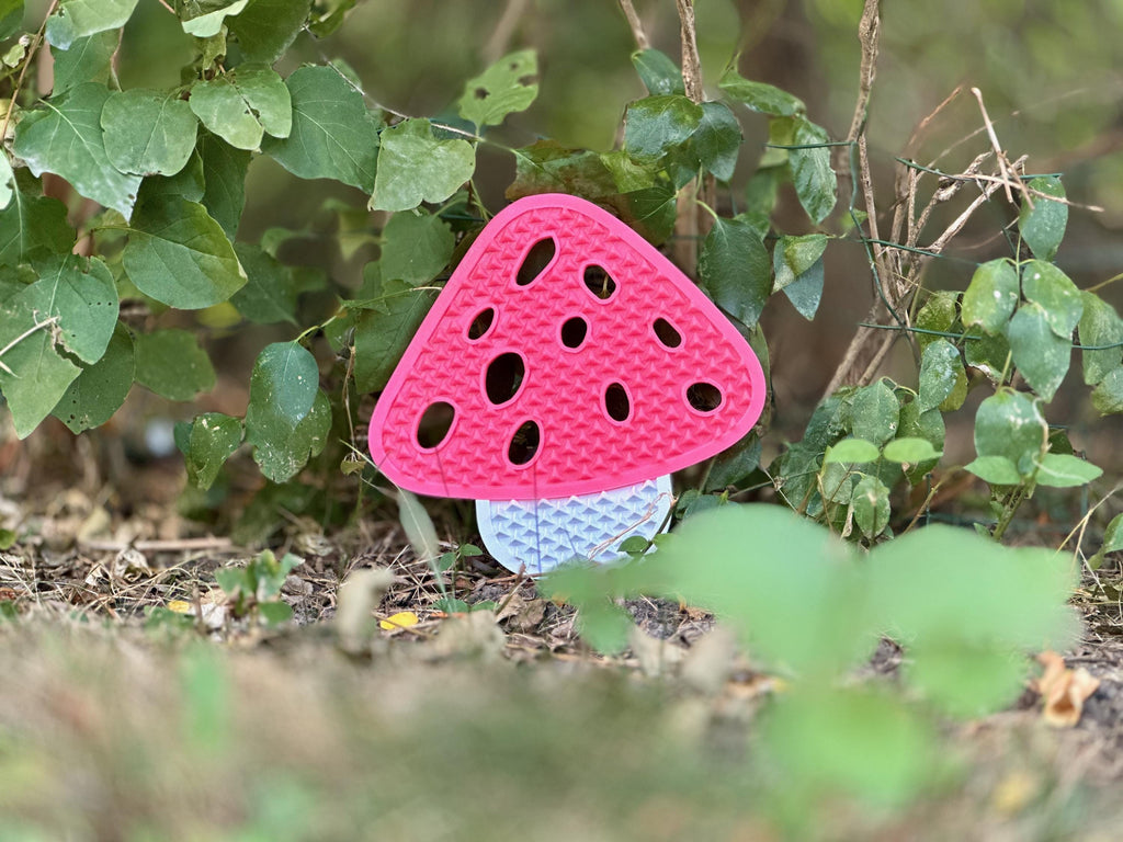 Mushroom Snowboard Stomp Pad