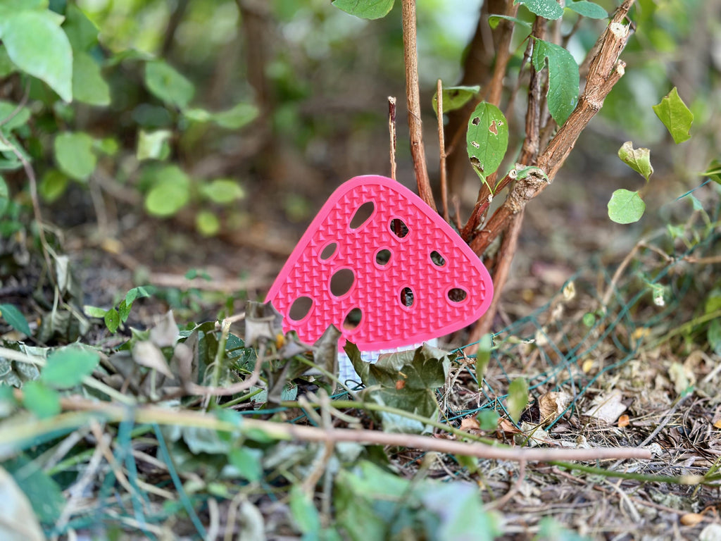 Mushroom Snowboard Stomp Pad
